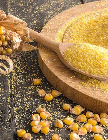 Mısır Gluteni