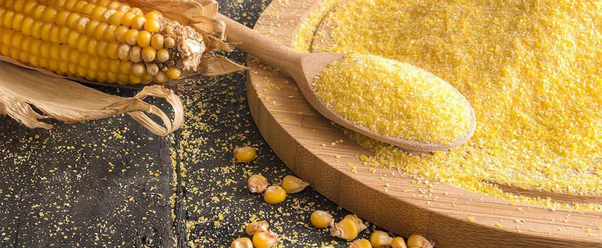 Mısır Gluteni